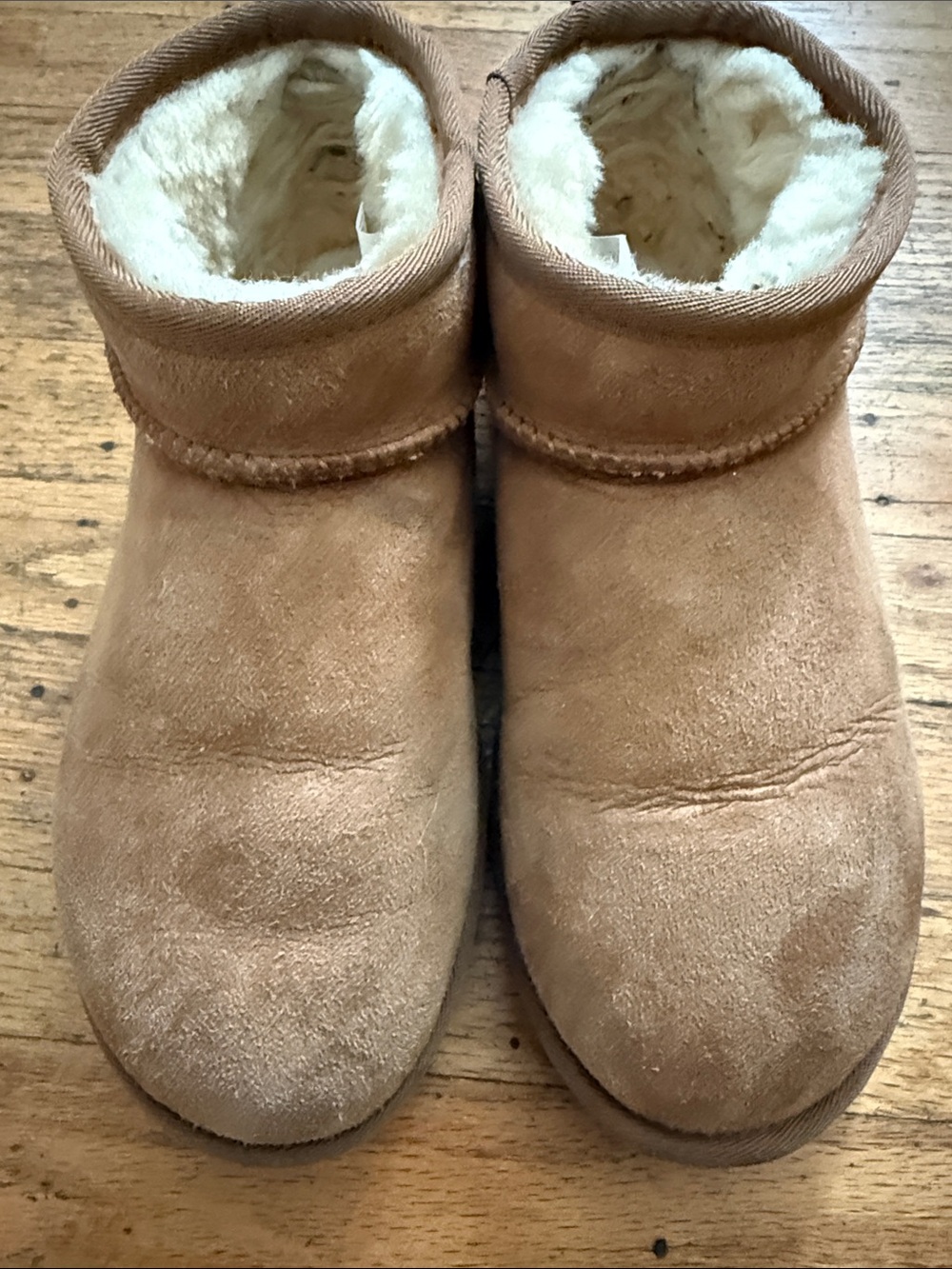 UGG Chestnut Suede Mini Ankle Booties - Picture 9 of 10